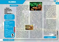Klonoa Door to Phantomile Russian review in Strana Igr issue 22.jpg