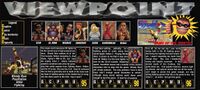 Bloody Roar PS1 panel review in GameFan volume 6 issue 5.jpg